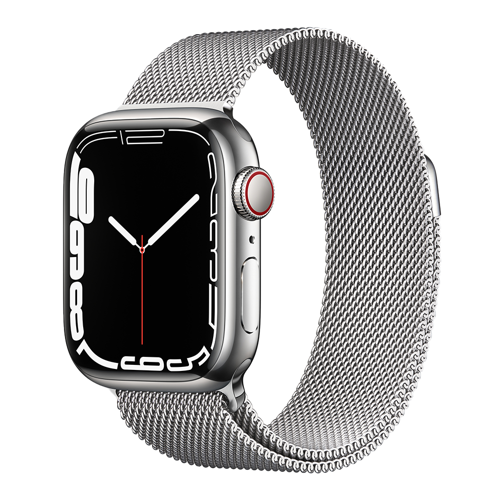 Smart-soat Apple Watch Series 7 45 мм milanese loop silver
